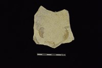 陶片藏品圖，第2張